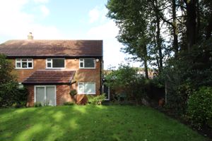 Photo 20- click for photo gallery